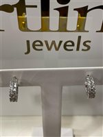 Orecchini Artlinea Donna in Argento Zircone ZOR1247-LB - ZOR1247-LB